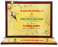 Global Excellence Award 2019Global Excellence Award 2019