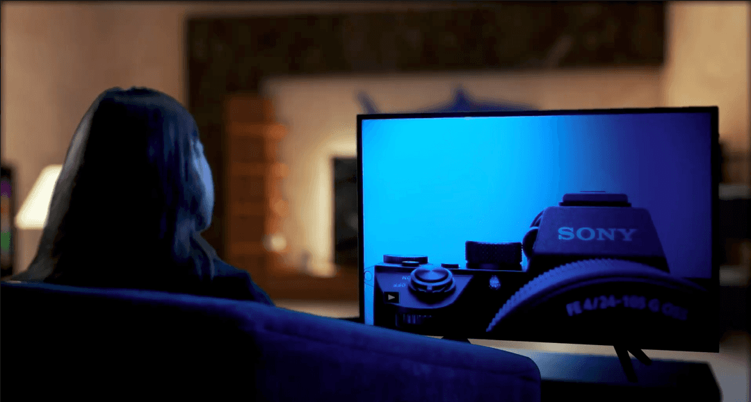 MSc in animation and VFX